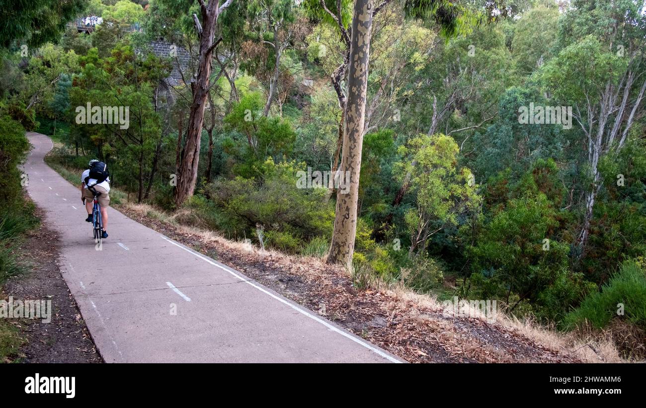 Homme à vélo le long de la piste de Merri Creek. Clifton Hill, Melbourne, Victoria, Australie Banque D'Images