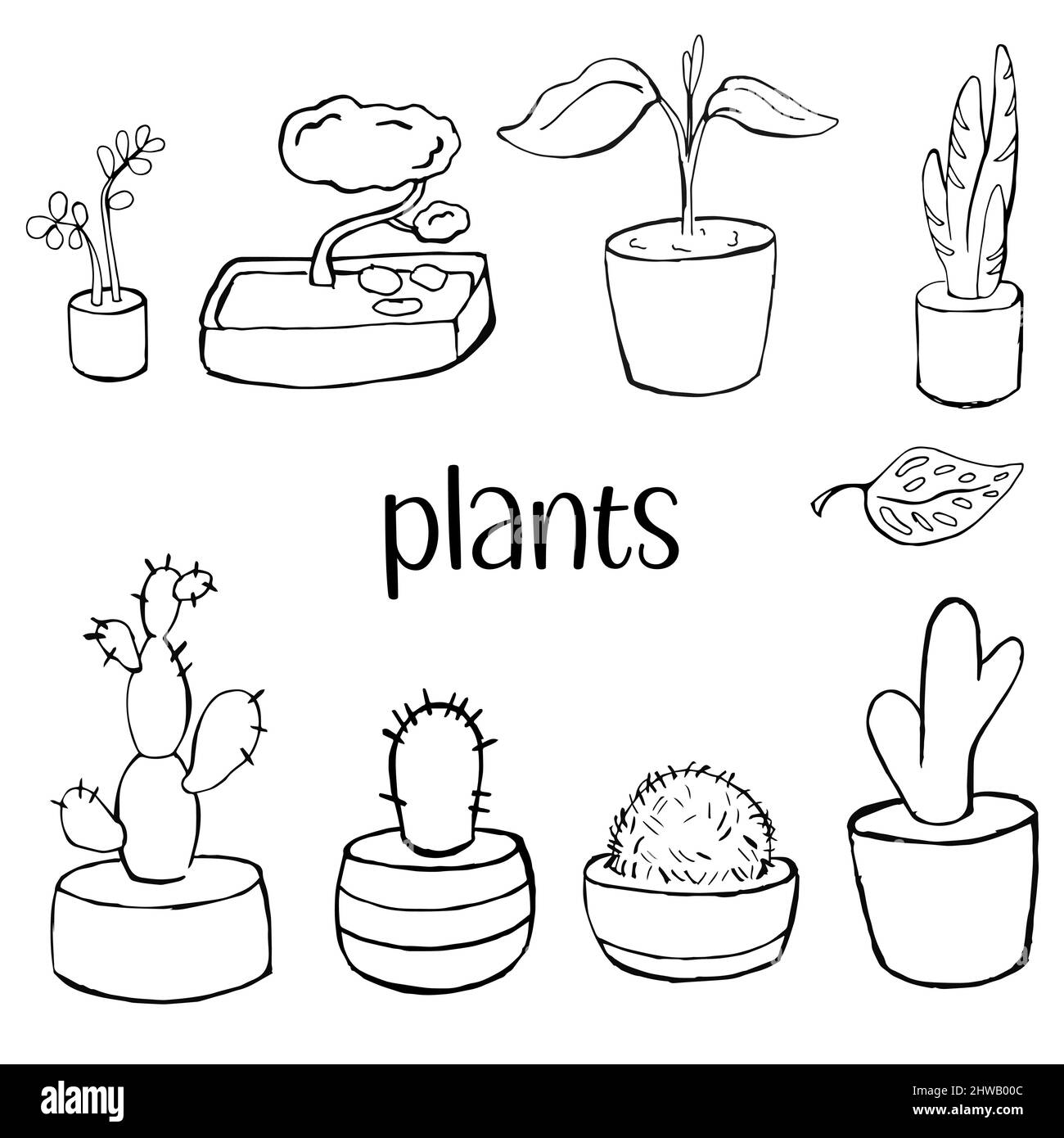 illustration de la plante linéaire vectorielle et de l'ensemble cactus Illustration de Vecteur