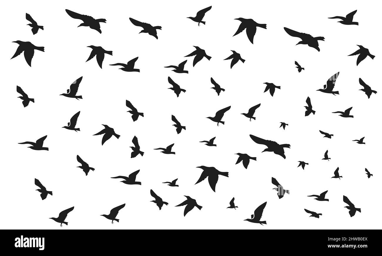Jeu de corbeaux. Collection de corneilles noires. Silhouette d'un corbeau volant. Illustration vectorielle de la silhouette des corbeaux. Tatouage oiseau grunge. Illustration de Vecteur