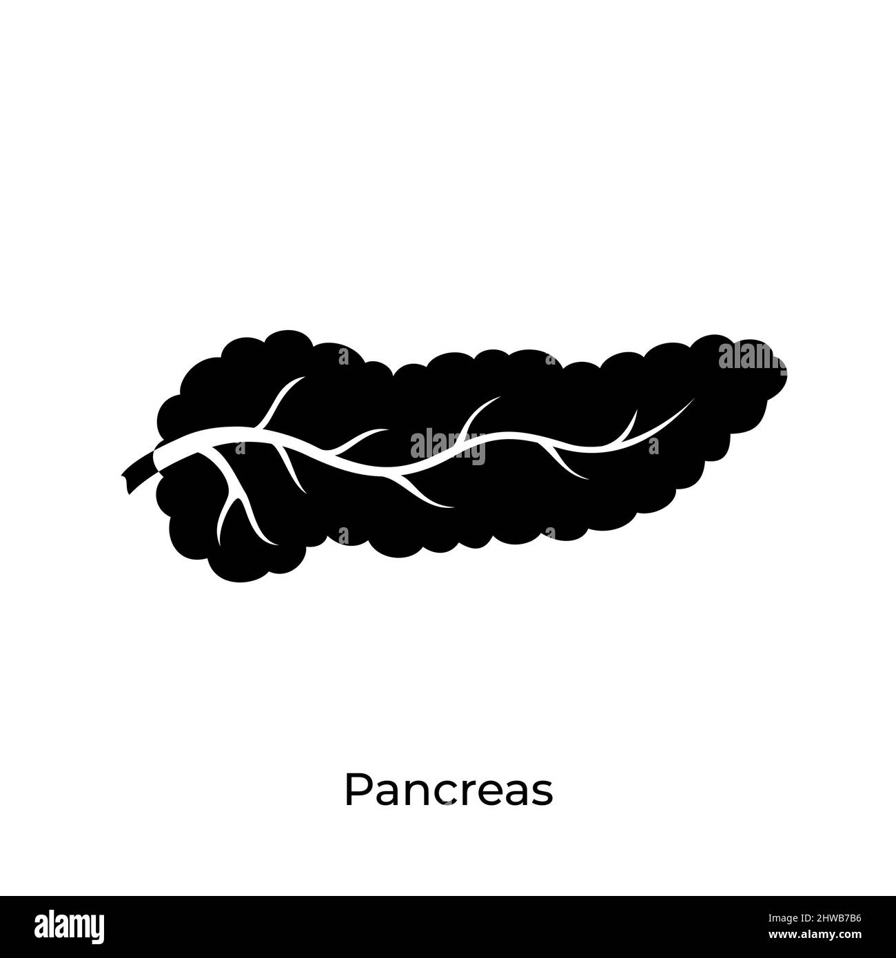 Le pancréas, illustration Banque D'Images