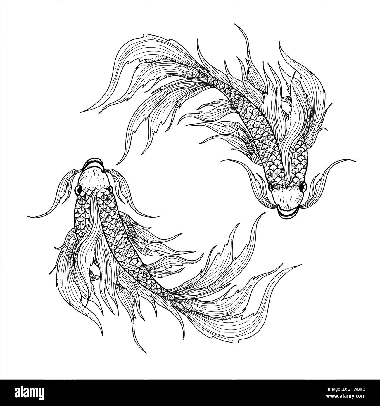 illustration vecteur deux poissons poissons poissons poisson zodiac symbole Illustration de Vecteur