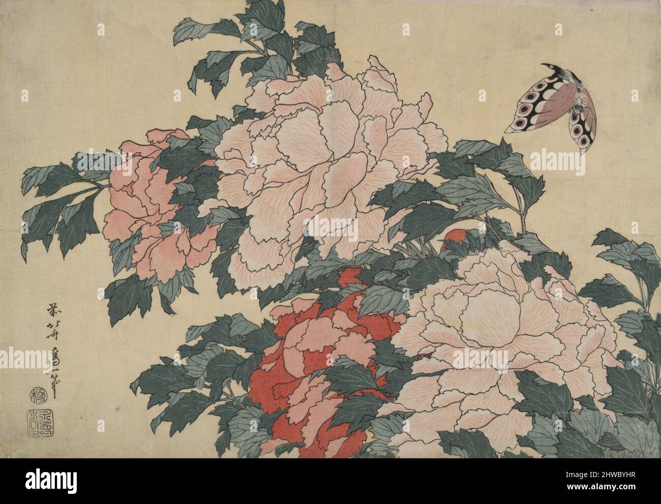 Pivoines et papillons, d'une série sans titre nommée grandes fleurs. Artiste: Katsushika Hokusai, japonais, 1760–1849 Banque D'Images