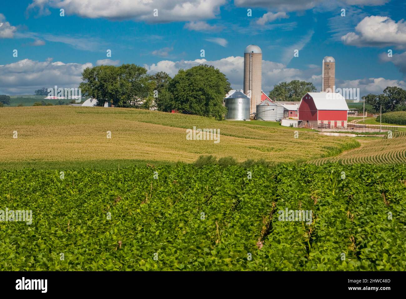 Iowa Farm, près de Luxembourg, Iowa. Comté de Dubuque. Banque D'Images
