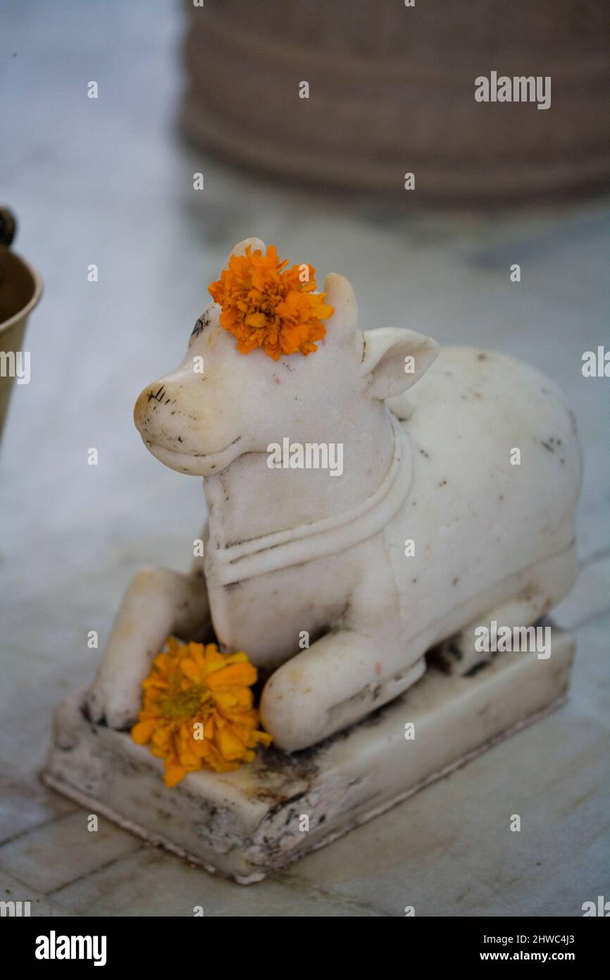 Inde, Hindou, Festival, Ganges, icône, Kumbh Mela, pèlerinage, Gange River, Voyage Inde, Saint River, religion. Hindouisme, Naga, Sadhu, Diwali, Festival Banque D'Images