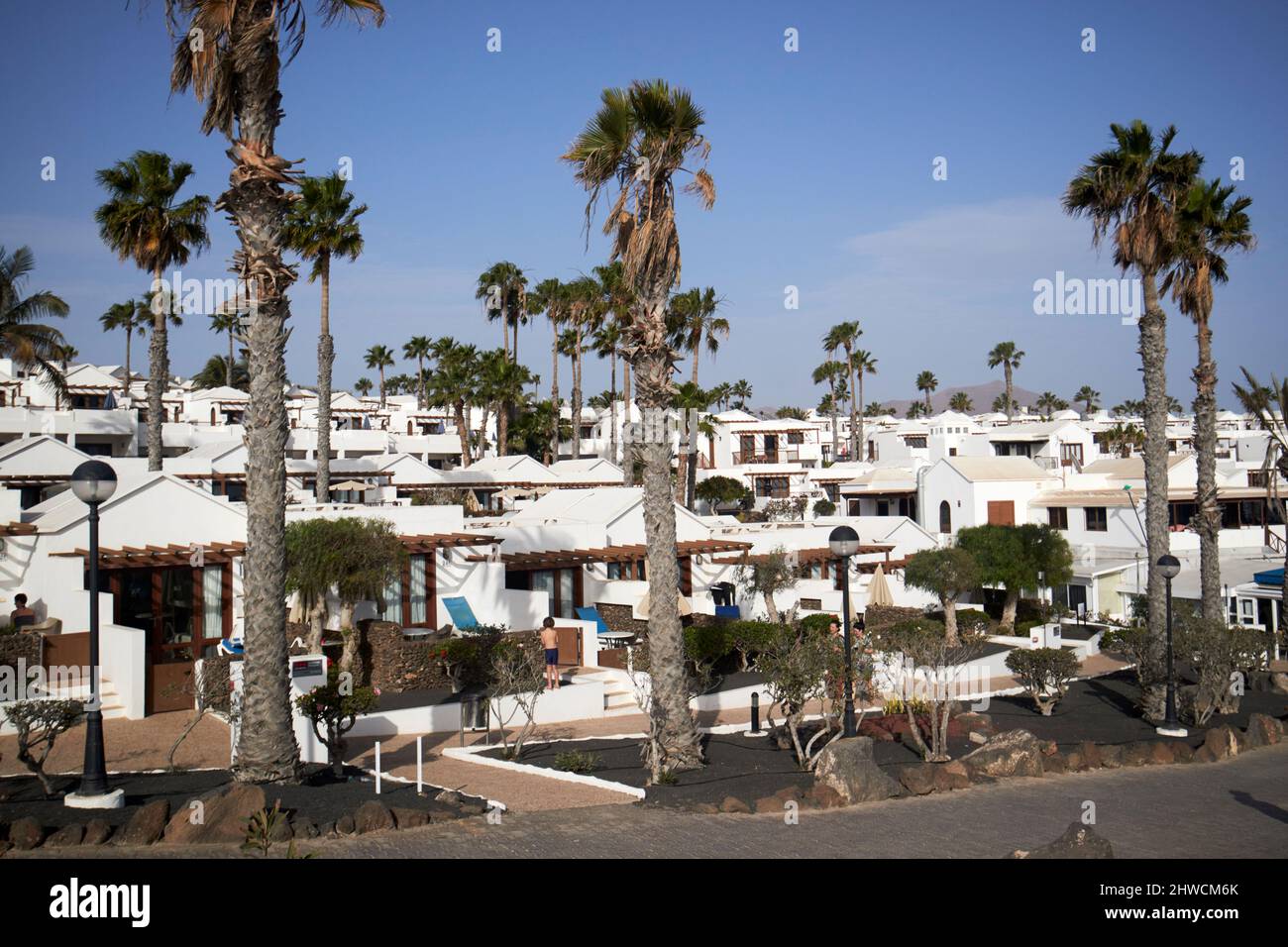 Tui canaries Banque de photographies et d’images à haute résolution - Alamy