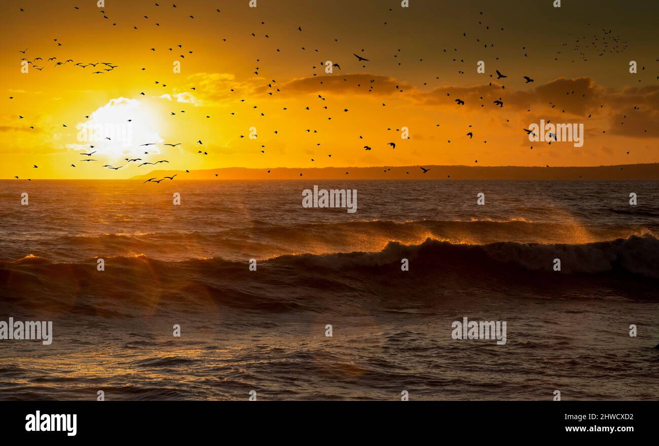 Une compilation de photographies pour créer un coucher de soleil, des vagues et des troupeaux d'oiseaux sur la plage d'Aberavon à Port Talbot, au sud du pays de Galles au Royaume-Uni Banque D'Images