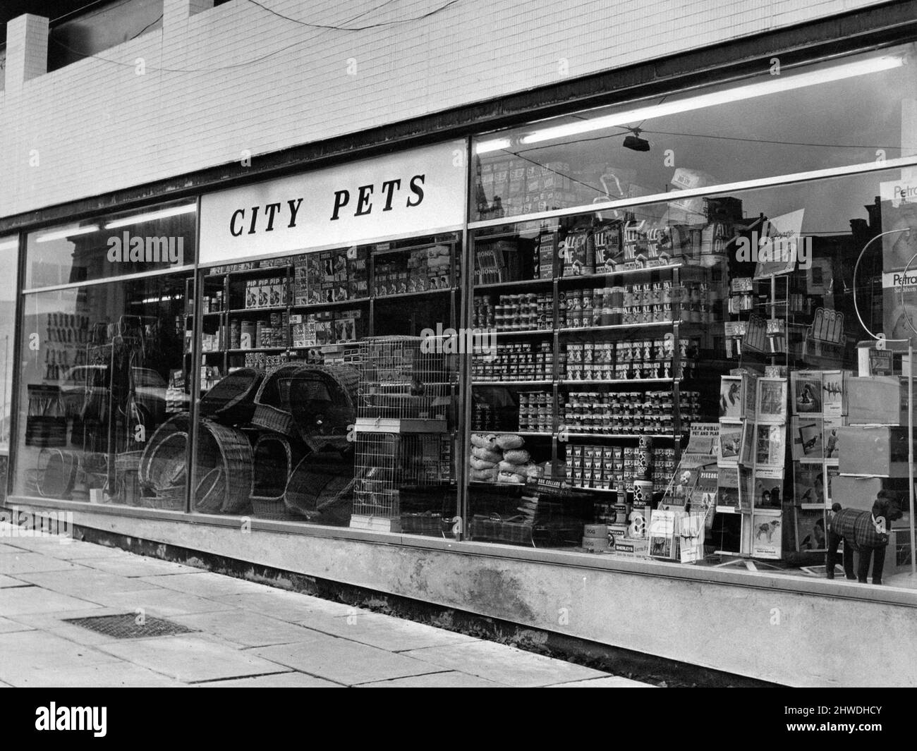 City Pets in St Johns Precinct, Liverpool, 9th avril 1970. Nouvelle boutique appartenant à M. Roberts. Banque D'Images