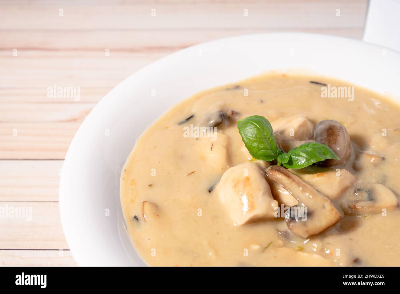 Une soupe de poulet et de champignons maison ou un fricassée de poulet à la française, dans un bol à soupe blanche sur une table en bois. Vue en hauteur. Gros plan Banque D'Images