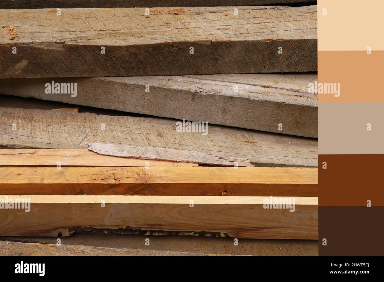 Palette de couleurs marron avec planches en chêne Banque D'Images