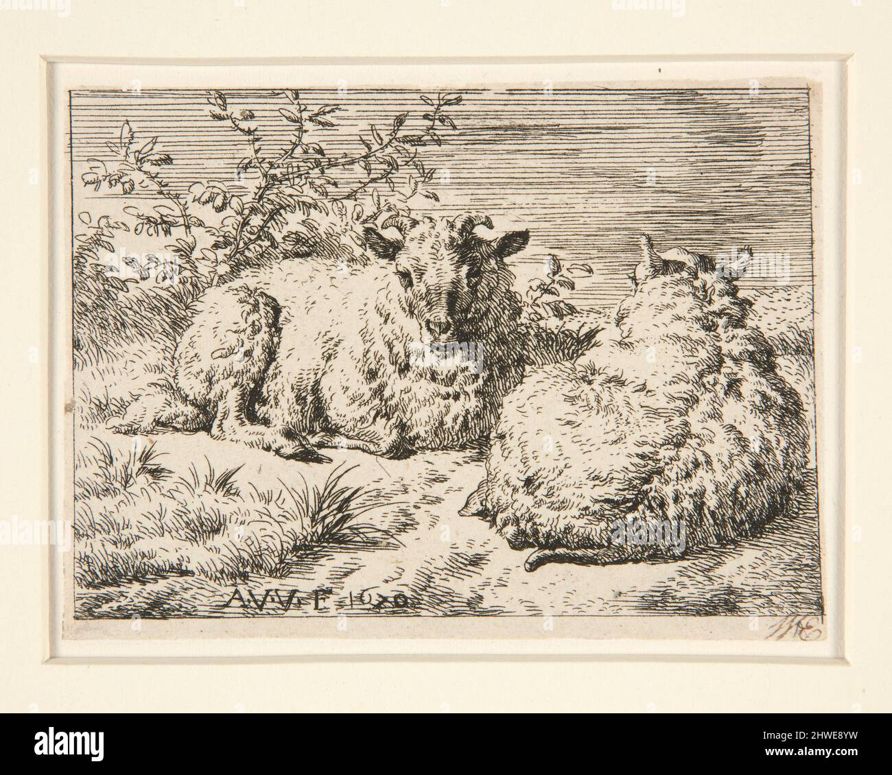 Les deux Moutons (les deux Sheep). Artiste: Adriaen van de Velde, néerlandais, 1636–1672 Banque D'Images
