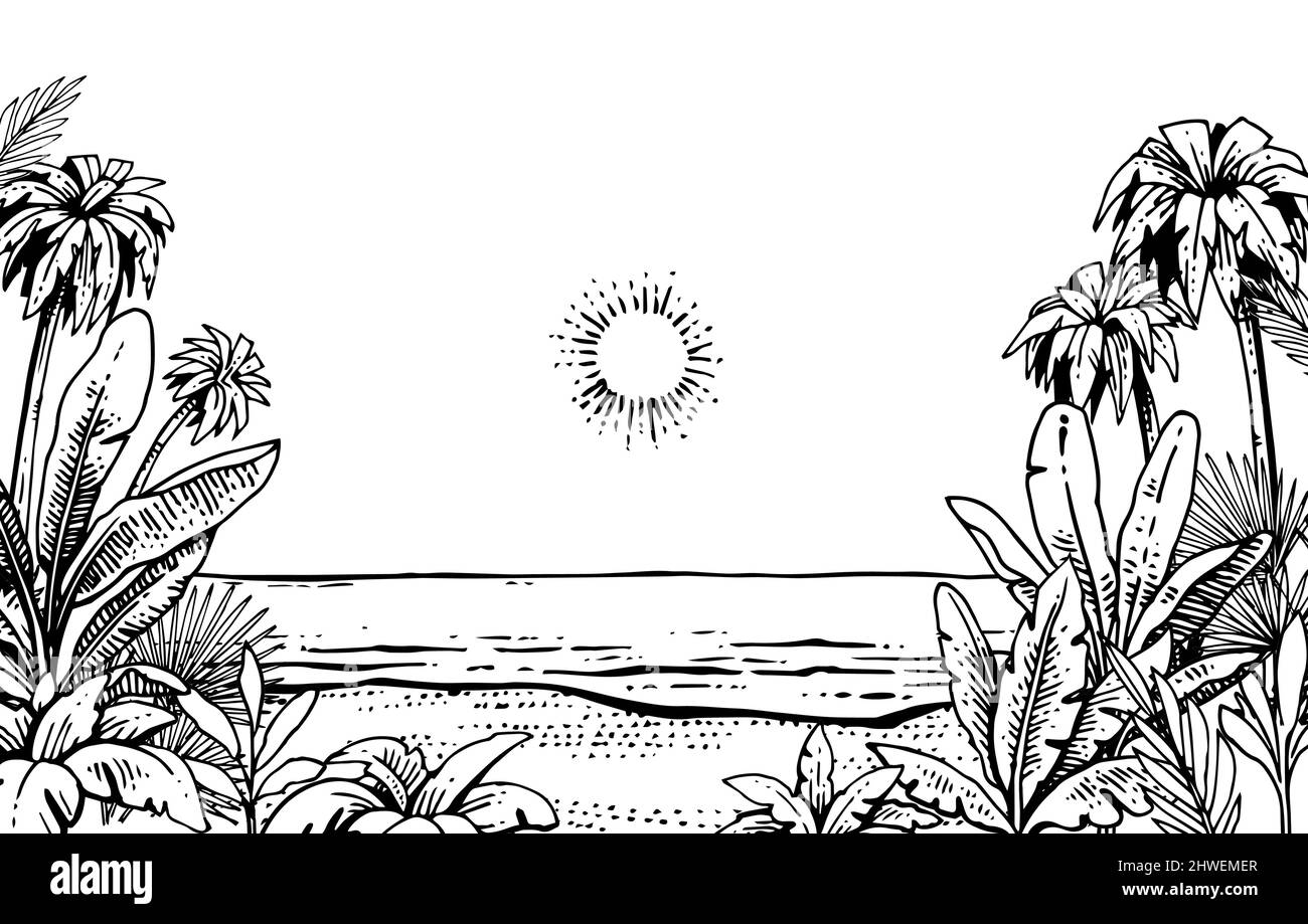 L'herbe tropicale et les plantes s'épaississent sur la plage près de la mer. Cadre avec paumes sur les côtés. Contour du dessin à la main. Paysage d'été. Esquisse d'exotique Illustration de Vecteur