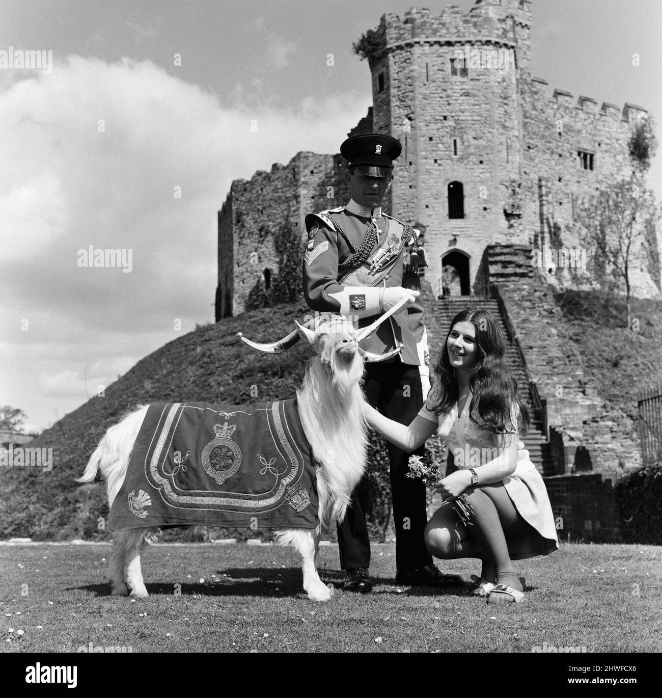 Dans le domaine du château de Cardiff se trouve le Collège de musique et de théâtre. Anona James, étudiante en musique de 18 ans, se fait des amis avec 'Tjouy the 12th' qui croit en la puissance des fleurs. Tapy est la mascotte du Welch Regiment et mange la bouée de fleurs d'Anona alors qu'elle parle avec le major de Goat Melville Johns du Welch Regiment. Le régiment va bientôt fusionner avec les frontières du sud du pays de Galles. 19th mai 1969. Banque D'Images