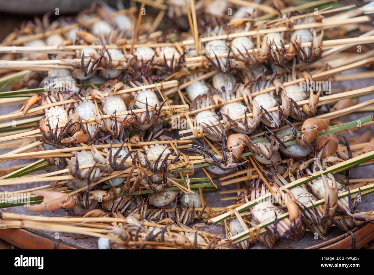 Crabe sauvage dans une brochette de bambou se vendant sur un marché humide local à Pakse, Laos du Sud. Banque D'Images