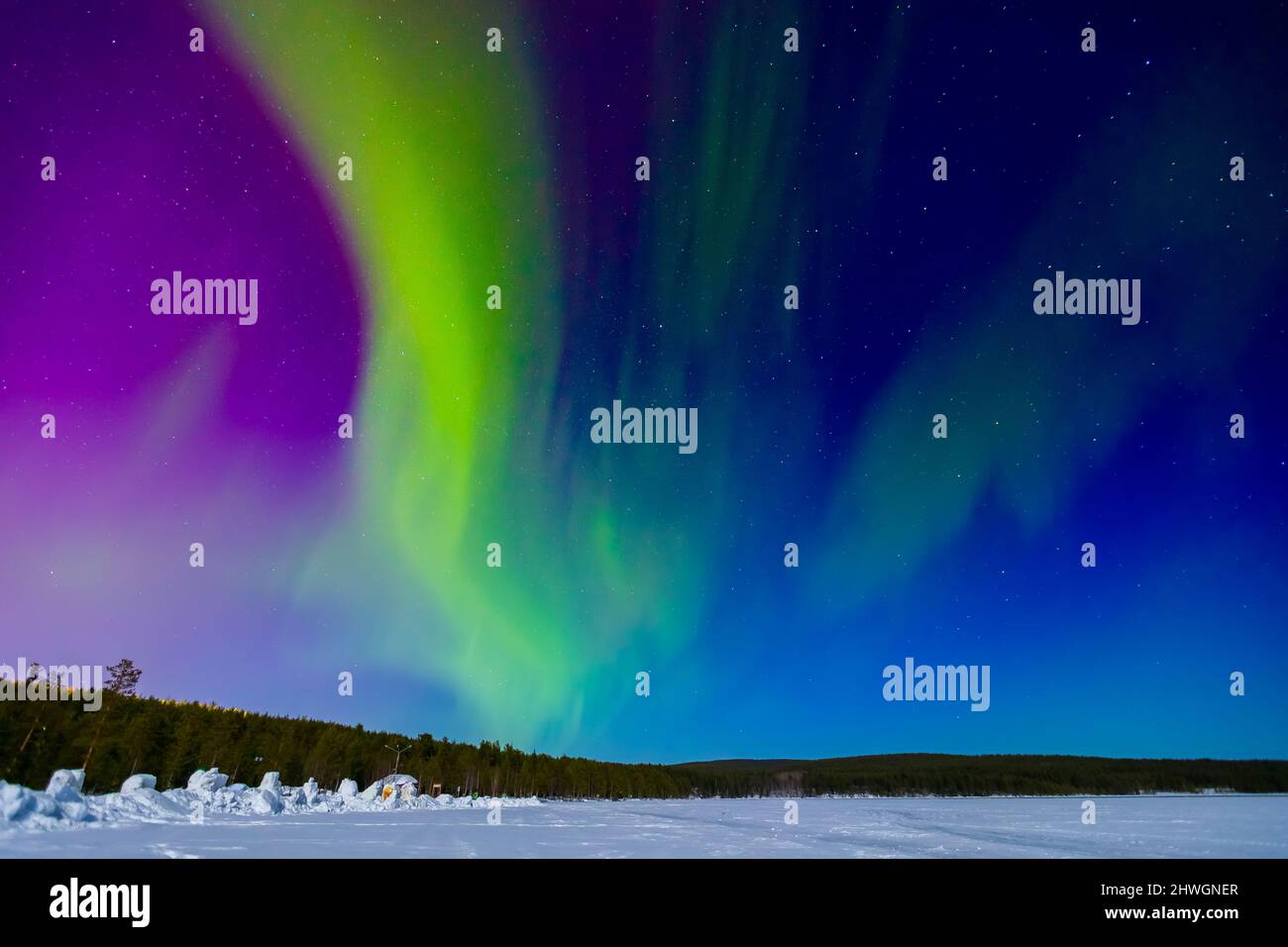 Ciel étoilé polaire arctique ciel de nuit de l'aurore borealis et aurores boréales en forêt. Banque D'Images