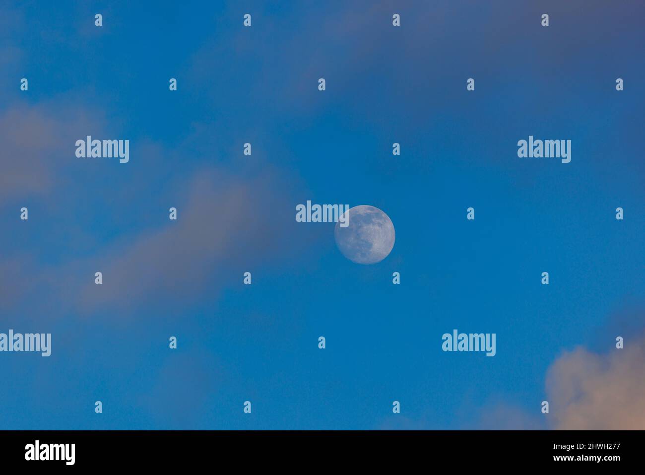 Lune dans un ciel bleu Banque D'Images