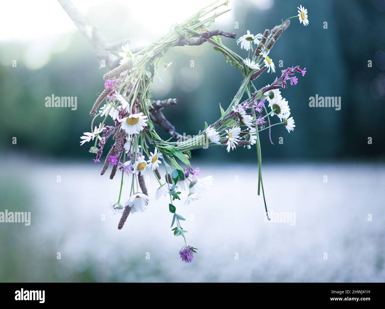 Couronne de fleurs. Concept de bonheur et d'amour. Journée ensoleillée sur la nature. Présent. Déclaration d'amour Banque D'Images