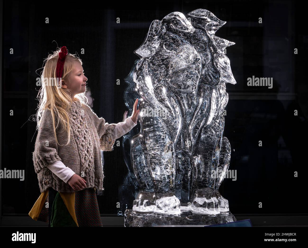Jeanie, 4 ans (aucun nom de famille), voit une sculpture sur glace d'un lion qui fait partie de la piste de glace de York dans le centre-ville de York, qui comprend plus de 40 sculptures de glace solide. Date de la photo: Dimanche 6 mars 2022. Banque D'Images