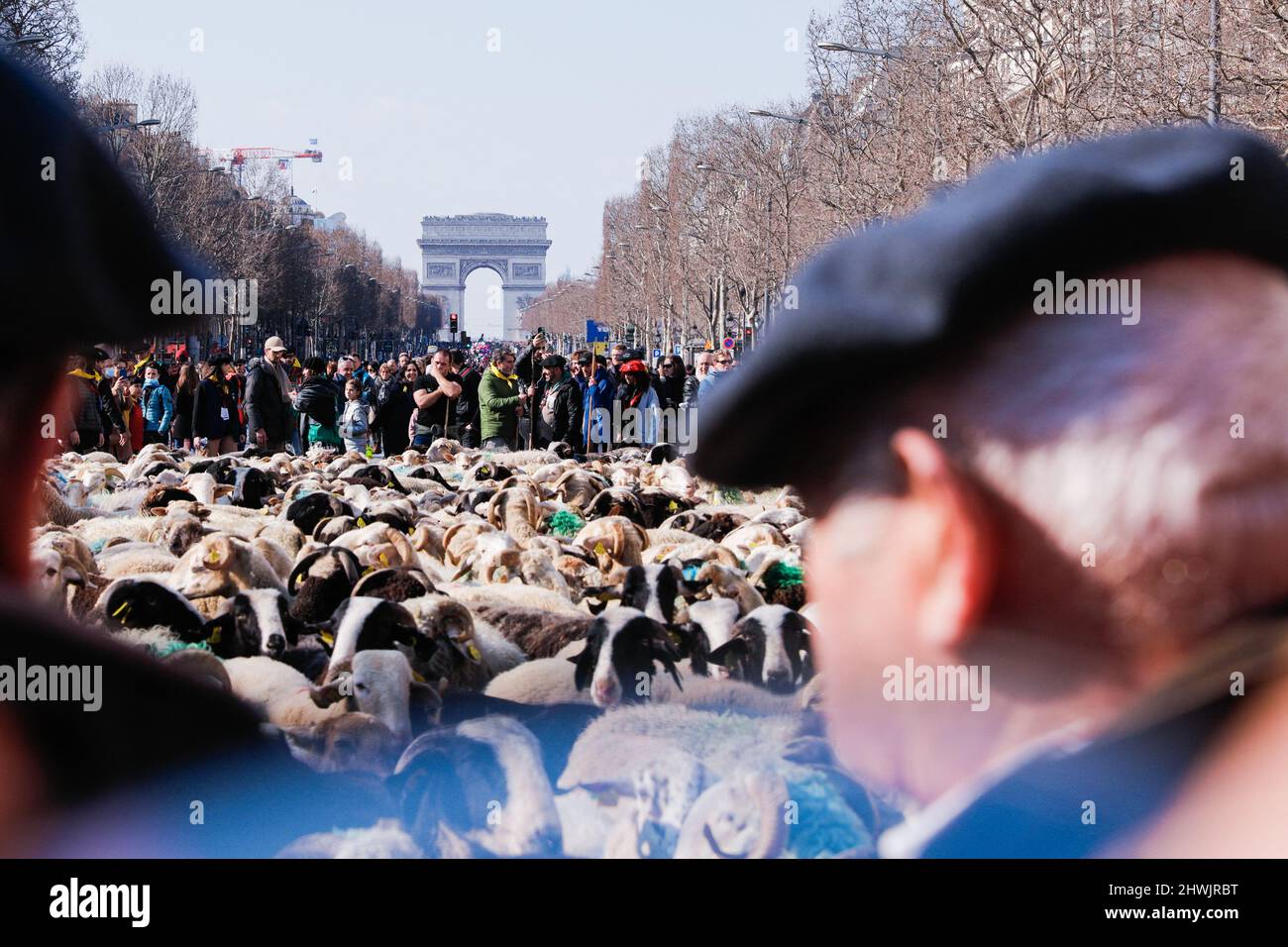 Paris, France. 06th mars 2022. Pour célébrer la fin du salon agricole de Paris, une transhumance avec 2000 moutons a été organisée sur les champs Elysées à Paris, France, le 6 mars 2022. Photo de Christophe Michel/ABACAPRESS.COM crédit: Abaca Press/Alay Live News Banque D'Images