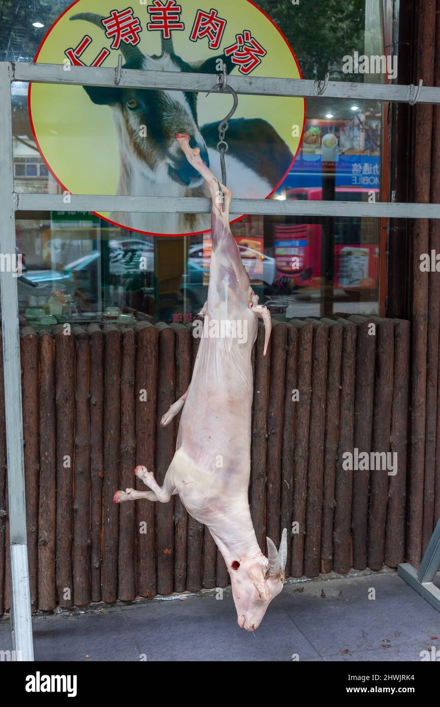 Carcasse d'une chèvre exposée devant un restaurant offrant cette viande à la consommation. Jiashan, Chine Banque D'Images