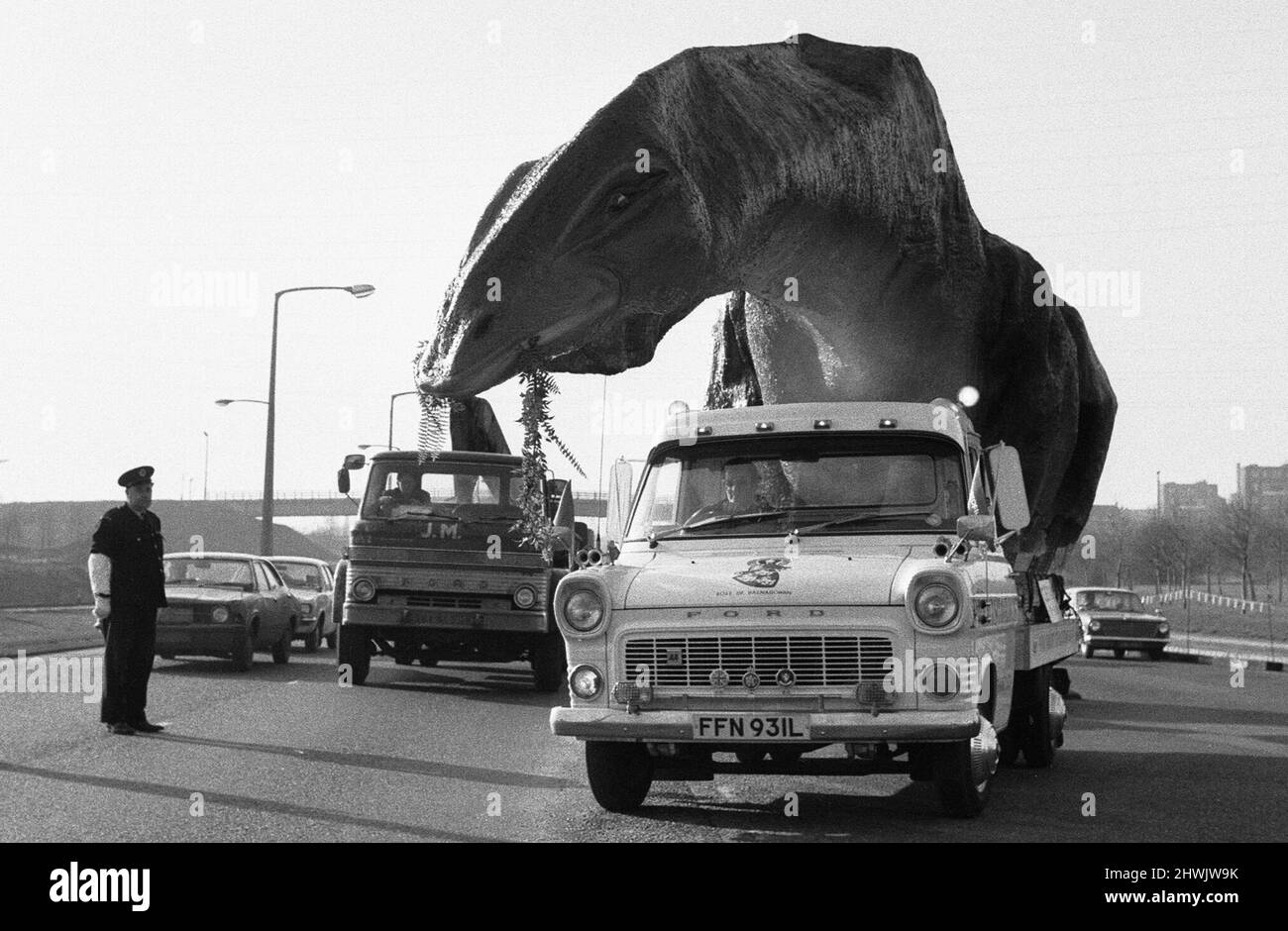 Un dinosaure en mouvement dans l'Essex. Un Cetiosaurus de 16 pieds de haut et de 45 pieds de long, une espèce de dinosaure, fabriqué par M. Alan Ross, a quitté Ramsgate ce matin en route pour Aviemore, en Écosse, via le tunnel de Dartford. Le modèle restera pendant deux ou trois semaines sur Canvey, tandis que d'autres monstres préhistoriques fabriqués par M. Ross le rejoignent avant de se rendre en Écosse, où M. Ross ouvre un parc préhistorique. Le Cetiosaurus vu ici, du côté Kent du tunnel de Dartford, est escorté à travers le tunnel par le contrôle de la circulation. 31st janvier 1973 Banque D'Images