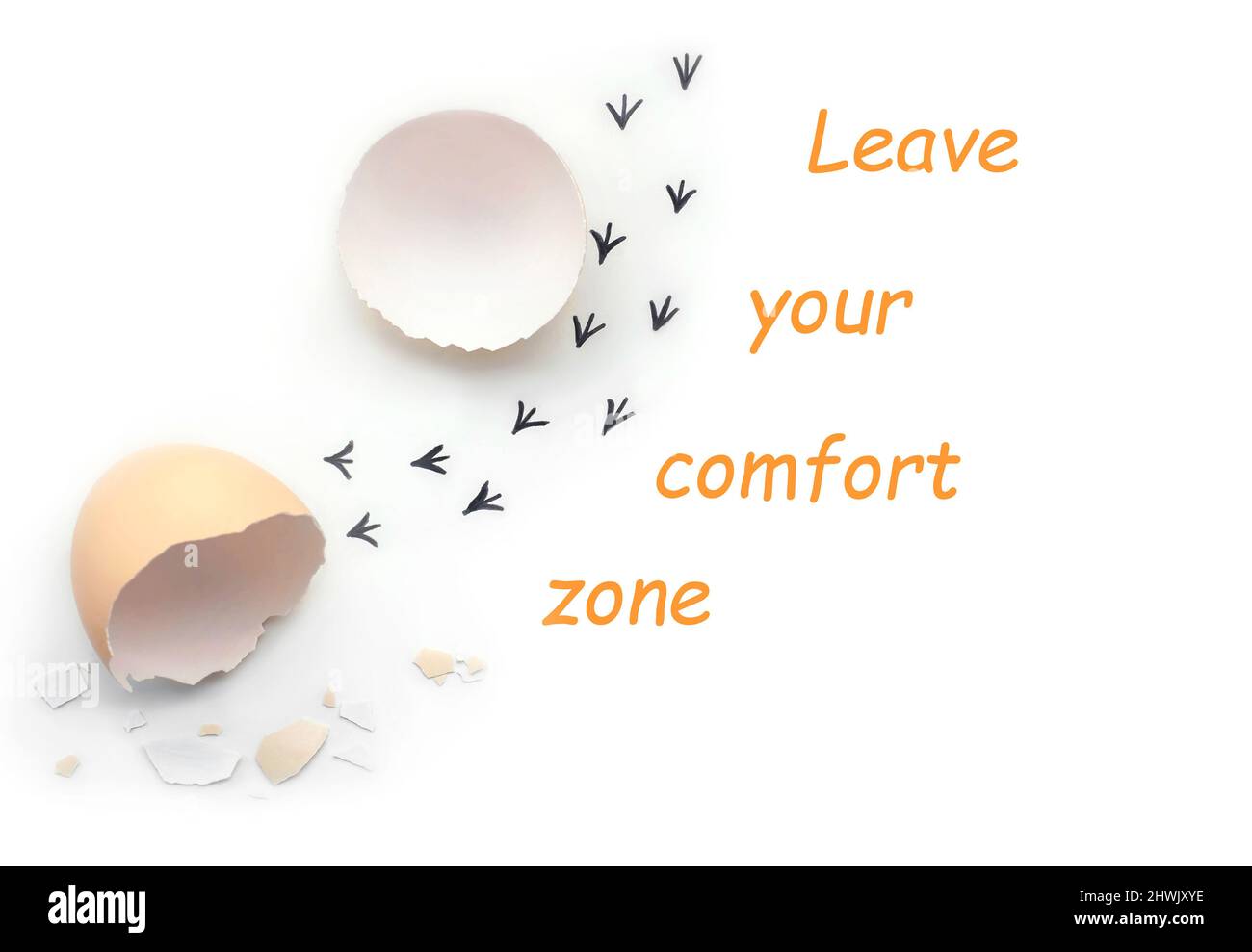 Quittez votre zone de confort. Empreintes d'un coquillage. Premières étapes d'un poussin sur un fond blanc isolé. Concept Banque D'Images