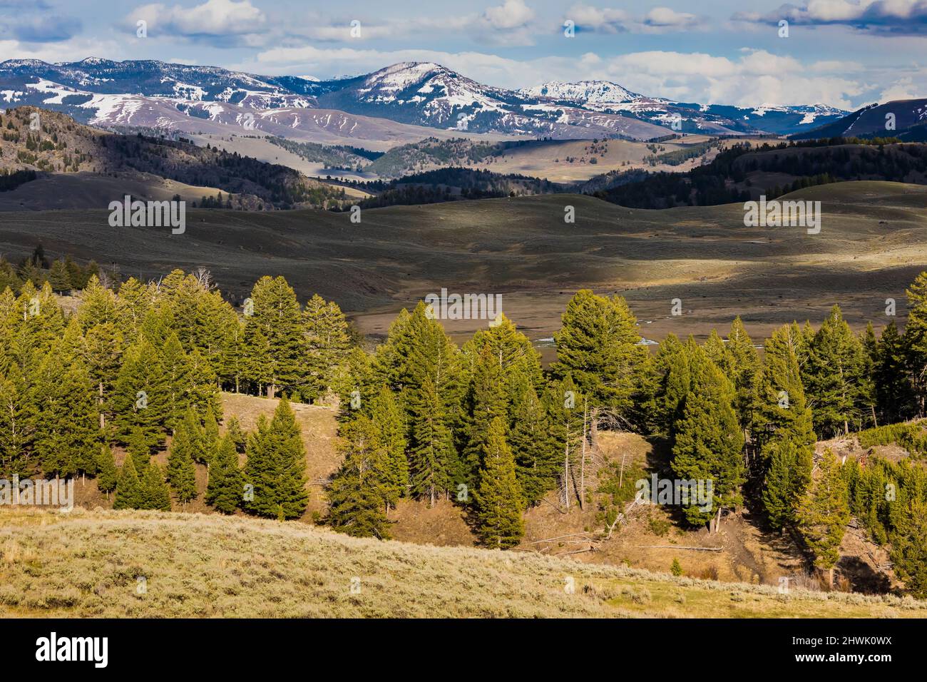 Collines et montagnes spectaculaires du parc national de Yellowstone, Wyoming, États-Unis Banque D'Images