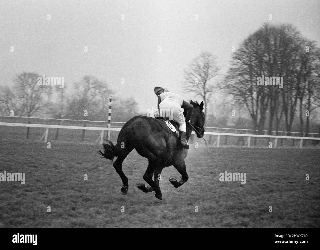 Courses hippiques à Windsor. Bill Smith, le jeune chasse-jockey national qui a beaucoup de gagnants, circonscription de Windsor. Un coup d'œil rapide pour voir où se trouve l'opposition, Bill Smith sur Albury Heath courses vers le poste, un gagnant bien clair. 4th janvier 1972. Banque D'Images