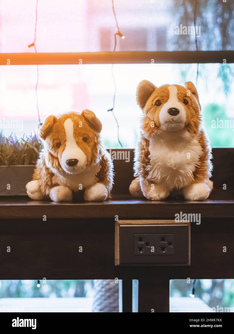 Une jolie poupée de chiens blancs et bruns s'assoit sur le comptoir près d'une grande fenêtre en verre dans le café. Belle décoration de jouets animaux dans le café. Magnifiques chiens de poupée dans br Banque D'Images