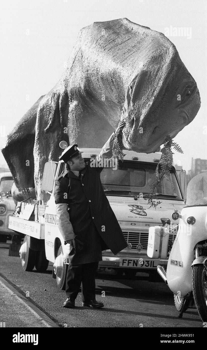Un dinosaure en mouvement dans l'Essex. Un Cetiosaurus de 16 pieds de haut et de 45 pieds de long, une espèce de dinosaure, fabriqué par M. Alan Ross, a quitté Ramsgate ce matin en route pour Aviemore, en Écosse, via le tunnel de Dartford. Le modèle restera pendant deux ou trois semaines sur Canvey, tandis que d'autres monstres préhistoriques fabriqués par M. Ross le rejoignent avant de se rendre en Écosse, où M. Ross ouvre un parc préhistorique. Un agent de contrôle de la circulation fait des amis avec le Cetiosaurus du côté Kent du tunnel de Dartford avant d'être escorté à travers le tunnel. 31st janvier 1973 Banque D'Images