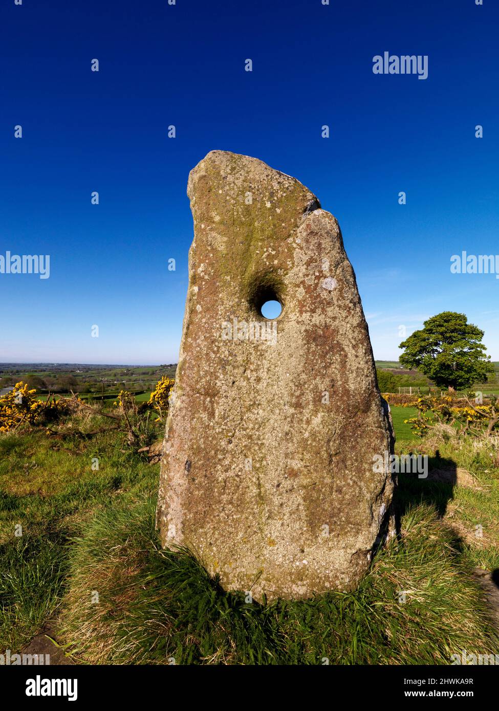 La pierre de trou, Newtownabbey, comté d'Antrim, en Irlande du Nord Banque D'Images