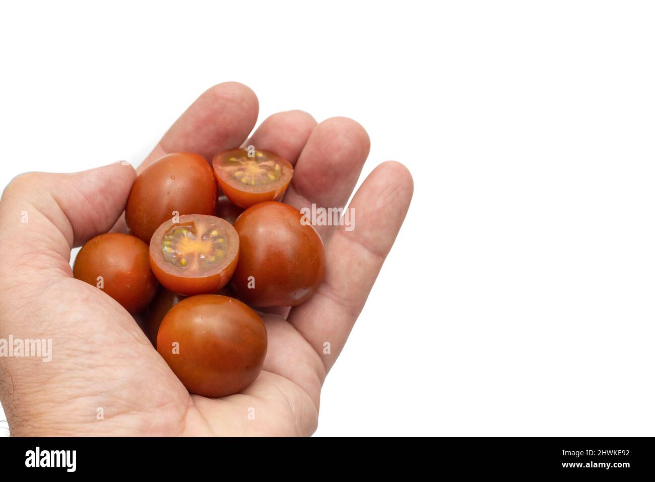 Une main ouverte contenant des tomates cerises, la variété mini kumato. Isolé sur fond blanc. Banque D'Images