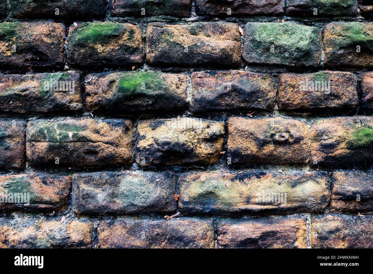 Image d'un mur de pierre avec mousse, pièce par pièce, brique par brique, mur, solide, Sécurisé, obstacle, arrière-plan de mur de briques, Bricks colorés, défini Banque D'Images