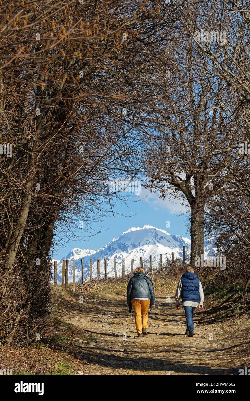 Couple marche sur un sentier de montagne à travers les arbres avec le sommet enneigé en arrière-plan Banque D'Images