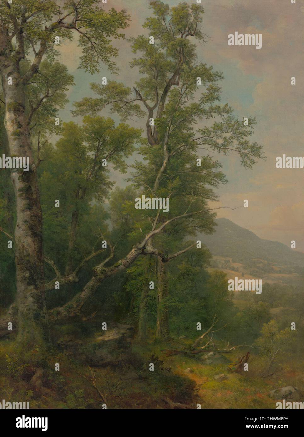 Étude des arbres. Artiste: Asher Brown Durand, cuisine américaine, 1796–1886 Banque D'Images