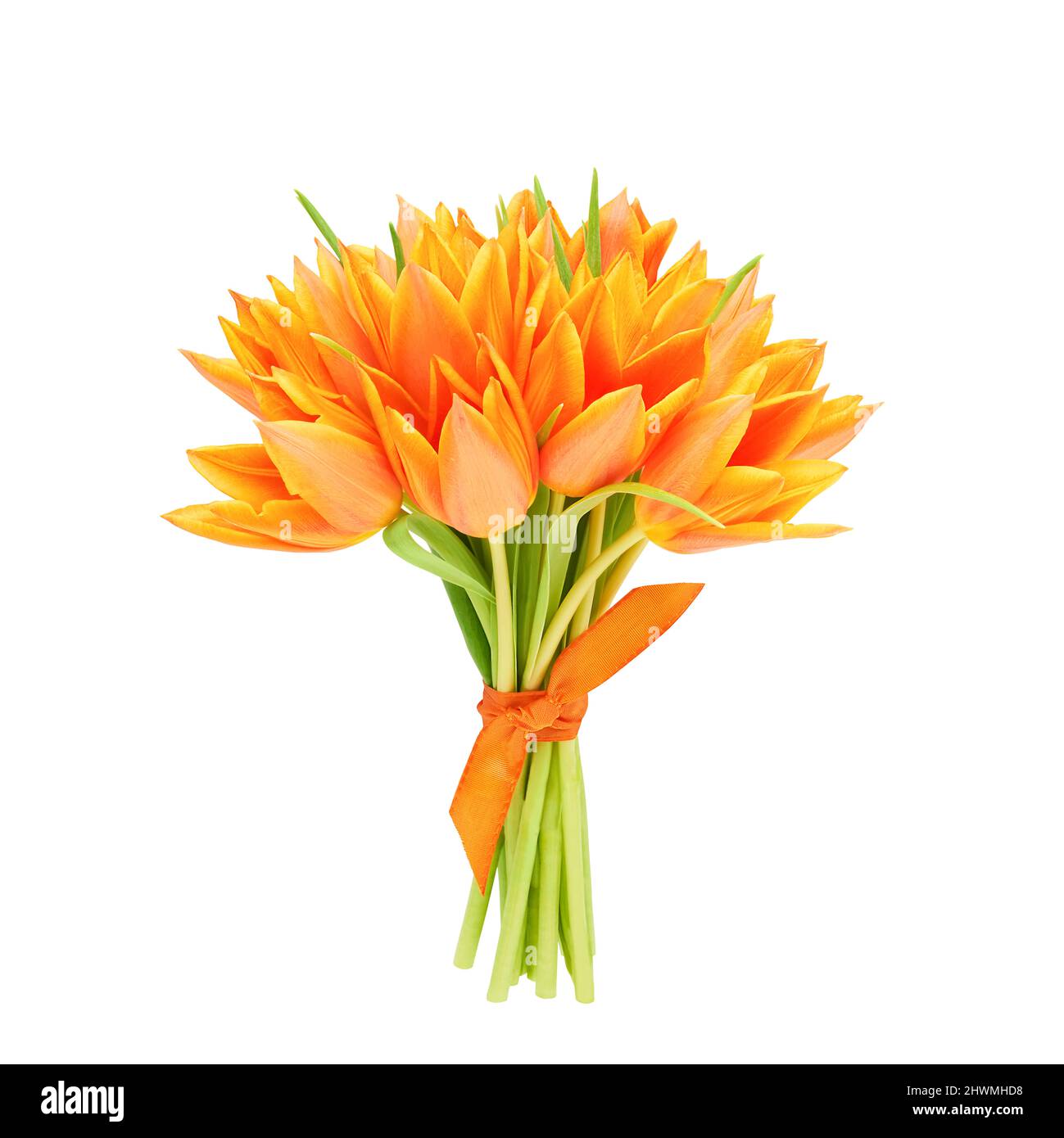 Bouquet de tulipes orange décoré de ruban isolé sur fond blanc. Fête des mères, jour de la Saint-Valentin, concept d'anniversaire. Flat lay, espace de copie Banque D'Images