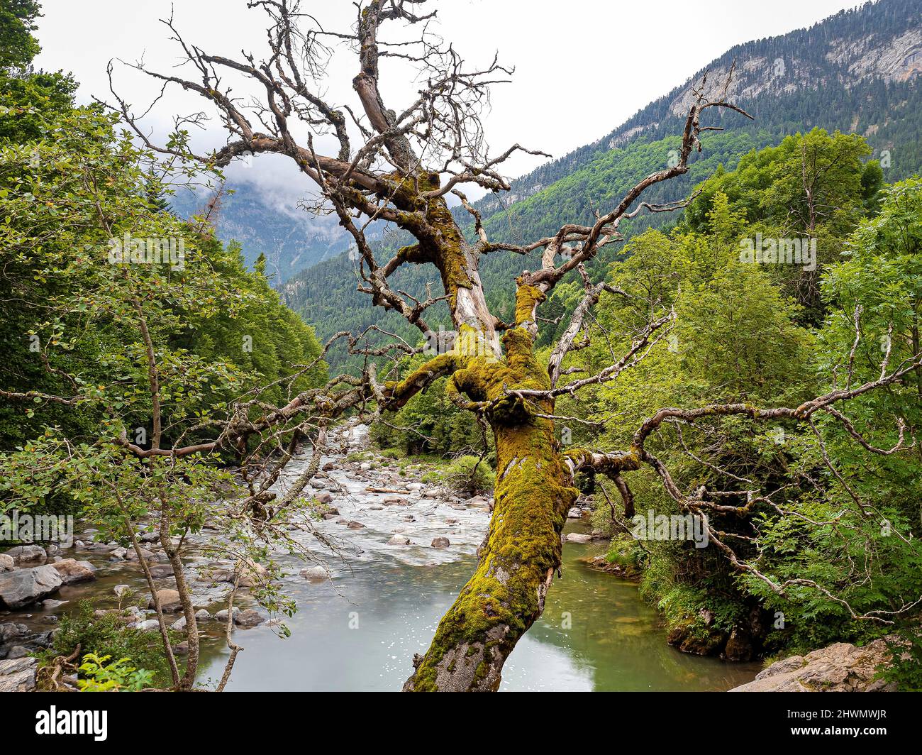 Vallée de bujaruelo près du pont romain de San Nicolas Banque D'Images