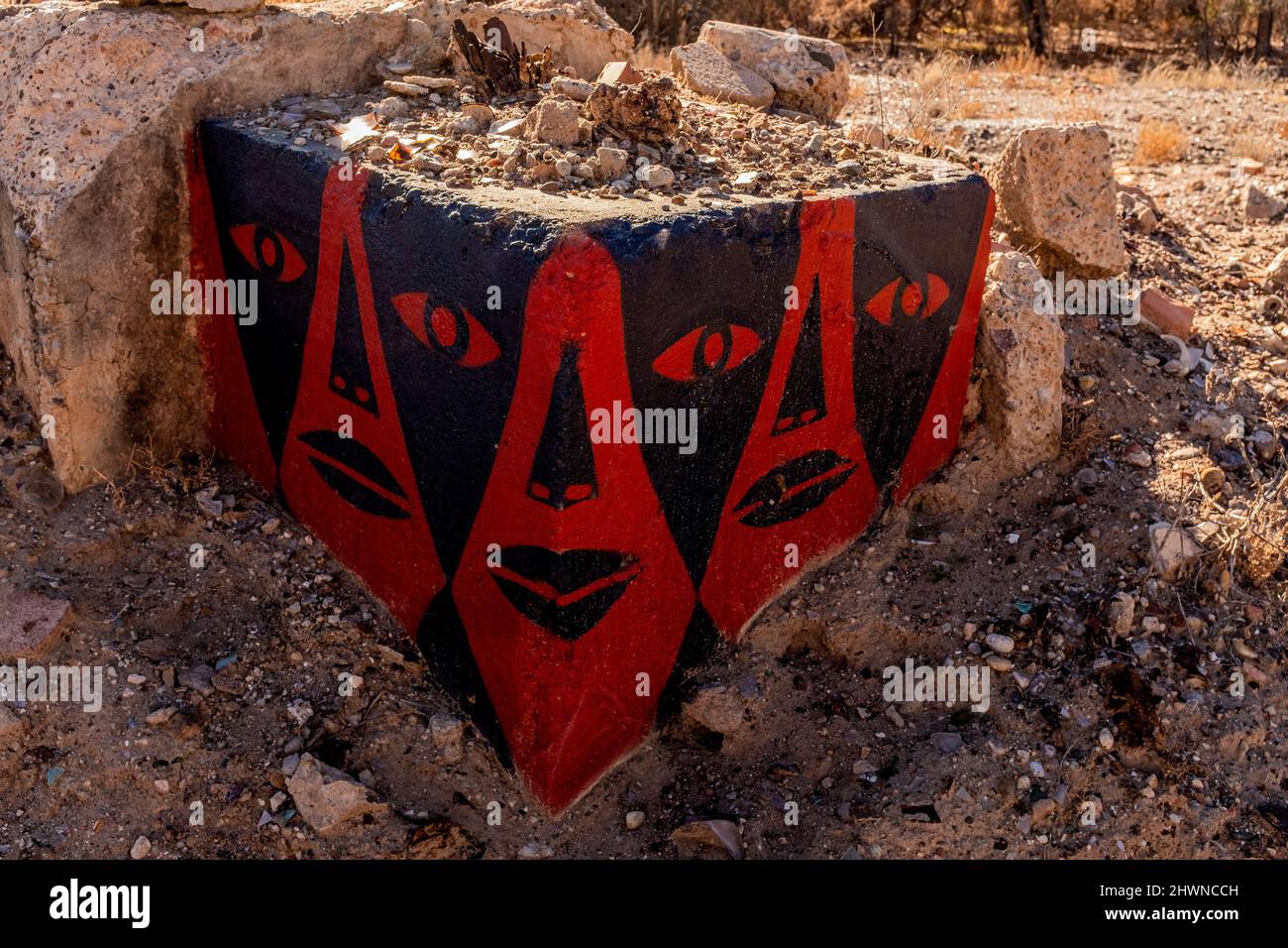 Conduit en béton peint avec face le long du Rio Grande bosque (forêt fluviale): Albuquerque, Nouveau-Mexique Banque D'Images