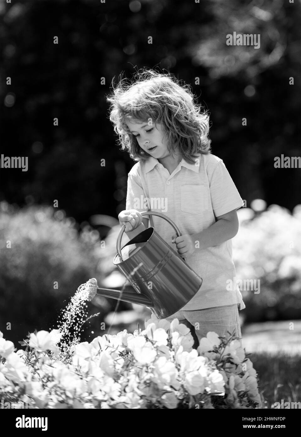 Enfant arrosoir une plante avec arrosoir. Banque D'Images