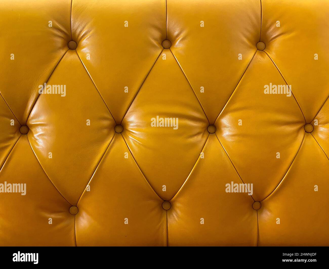 Tissu en cuir véritable pour une décoration de luxe Banque D'Images