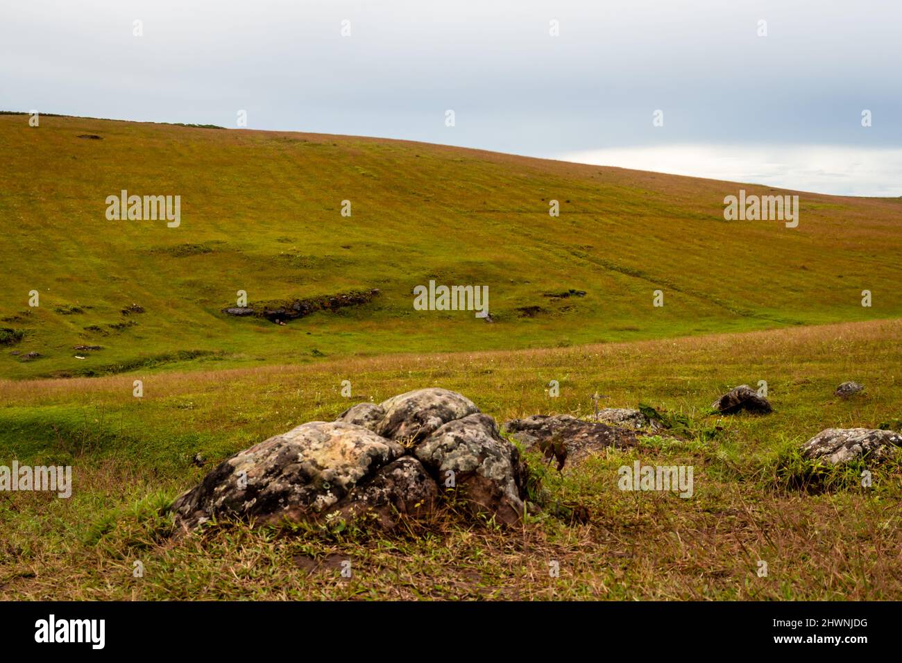 roche isolée à la campagne de l'herbe jaune montagne avec ciel plat le matin Banque D'Images