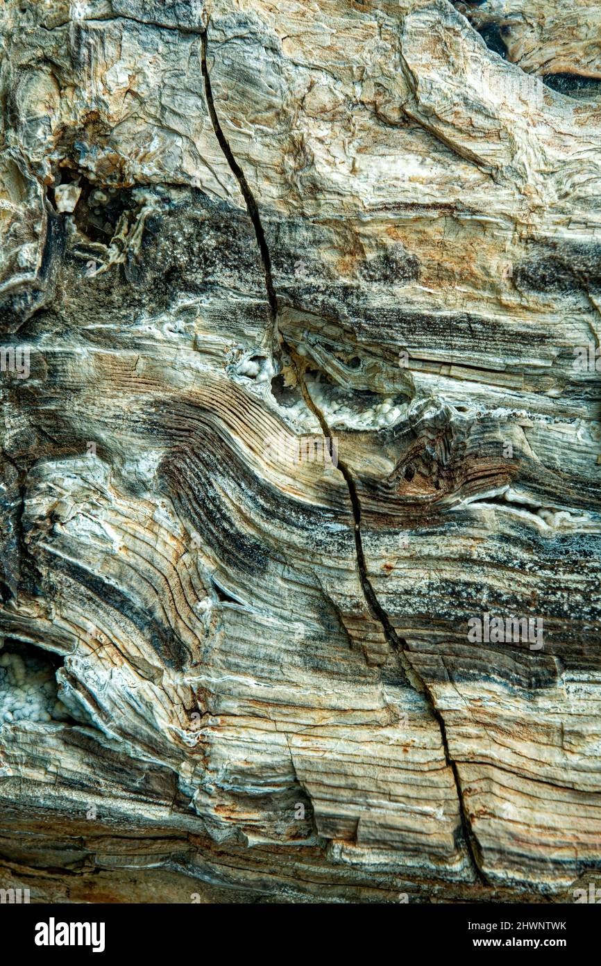 Vue rapprochée d'une fissure dans un morceau de bois pétrifié Banque D'Images