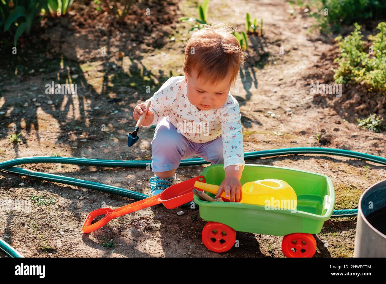 Récolte. Jolie petite fille joue avec un chariot de jouet en plastique,  mettant des outils de jardinage en elle. Vue de dessus. Le concept de  jardinage et d'éducation Photo Stock - Alamy