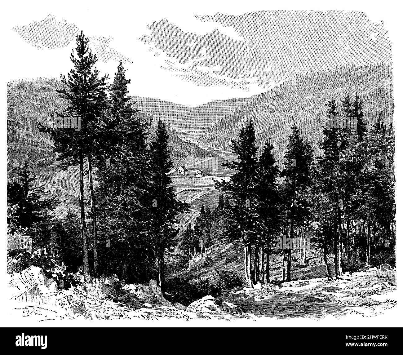 Vallée près de Triberg dans la Forêt Noire, , (atlas, 1909), Tal BEI Triberg im Schwarzwald, Vallée près de Triberg en Forêt-Noire Banque D'Images