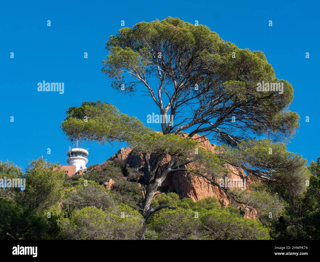 Var (83) Côte d'dÕAzur, parc de lÕEsterel au bord de la Mditerranne, la corniche dÕor//France, Var (83) la Côte d'Azur, Parc de l'Esterel sur les rives de la Banque D'Images