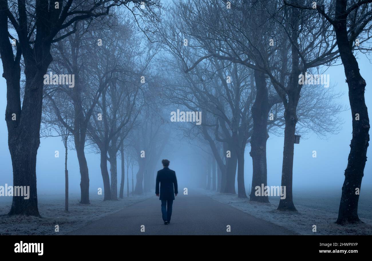 Homme marchant sur la route au milieu d'arbres effrayants Banque D'Images