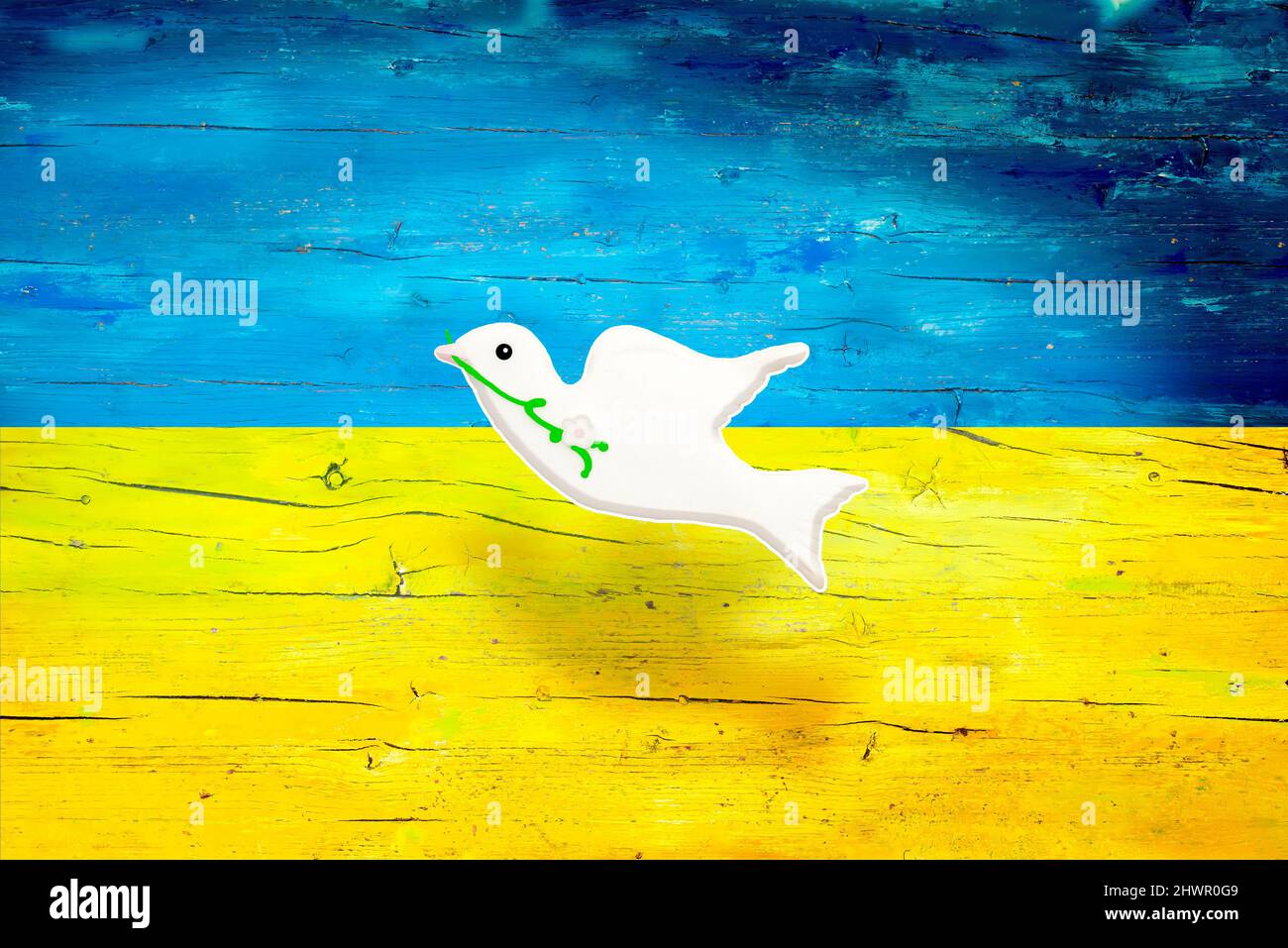 Colombe blanche de la paix et drapeau de l'Ukraine avec texture en bois. Aucun contexte de concept de guerre. Banque D'Images