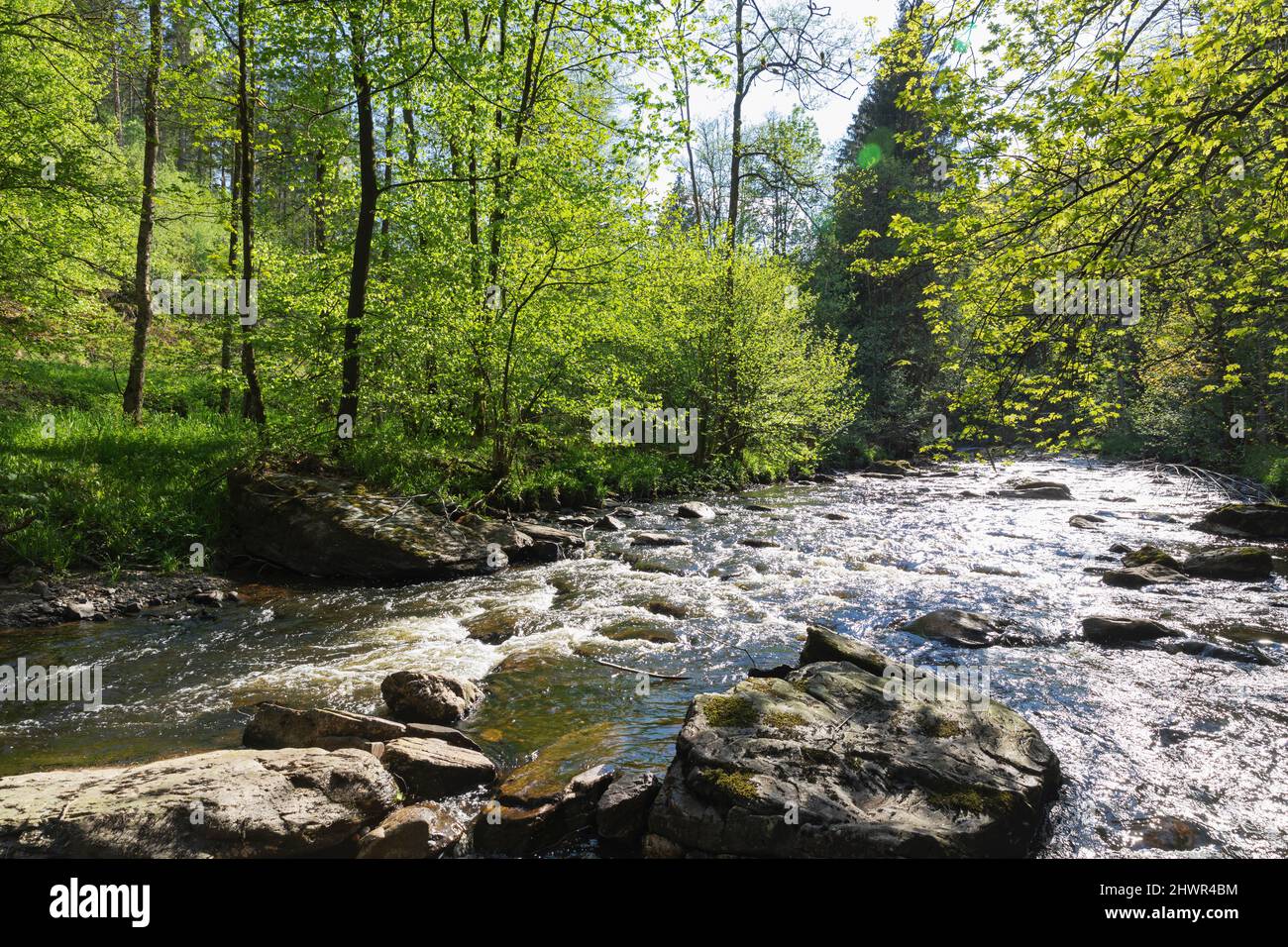 Rivière RUR qui coule à travers les rochers par jour ensoleillé au Parc naturel d'Eifel, région de Monschau, Allemagne Banque D'Images