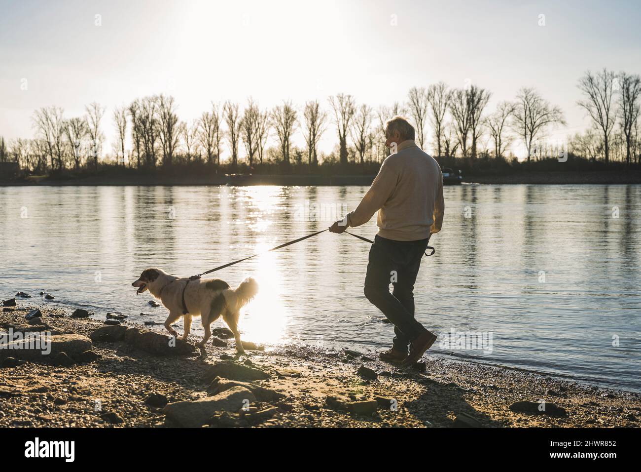 Homme marchant avec un chien à la plage au coucher du soleil Banque D'Images