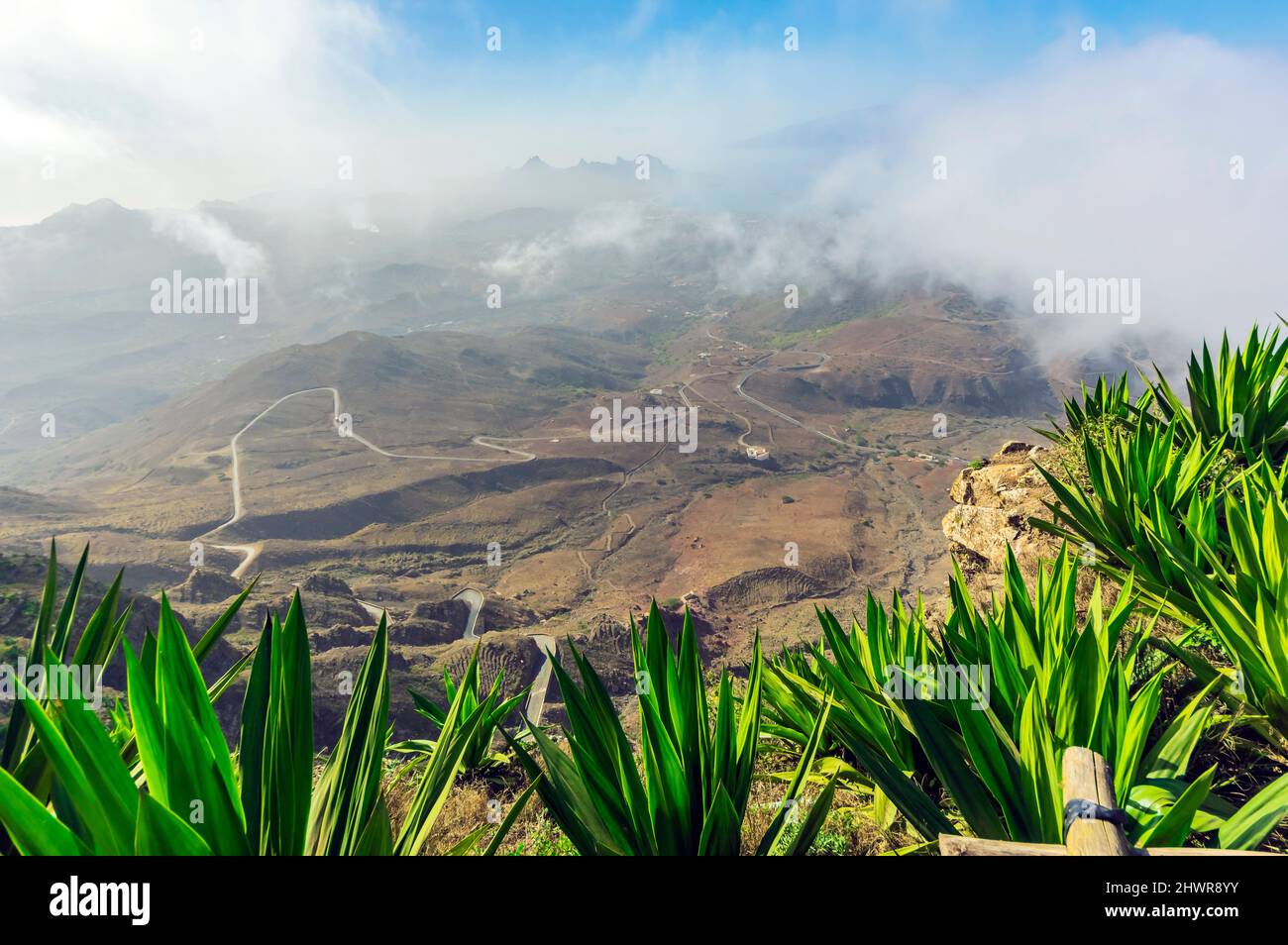 Nuages bas flottant sur la vallée de montagne avec des plantes vertes en premier plan Banque D'Images
