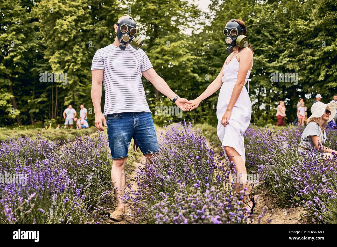 Jeune couple debout dans le champ de lavande portant des masques à gaz, tenant les mains. Personnes souffrant d'allergies et de fleurs de lavande. Concept d'allergie saisonnière Banque D'Images